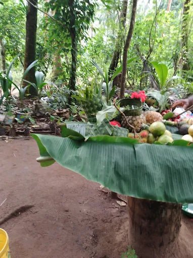 Zanzibar: Spice Farm Tour with Tropical Fruit Tasting