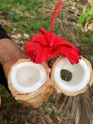 Zanzibar: Spice Farm Tour with Tropical Fruit Tasting