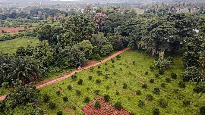 Zanzibar: Spice Farm Visit with Local Cuisine Cooking Class