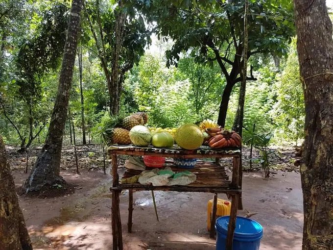 Zanzibar: Spice Farm Visit with Local Cuisine Cooking Class