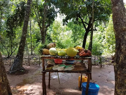 Zanzibar: Spice Farm Visit with Local Cuisine Cooking Class