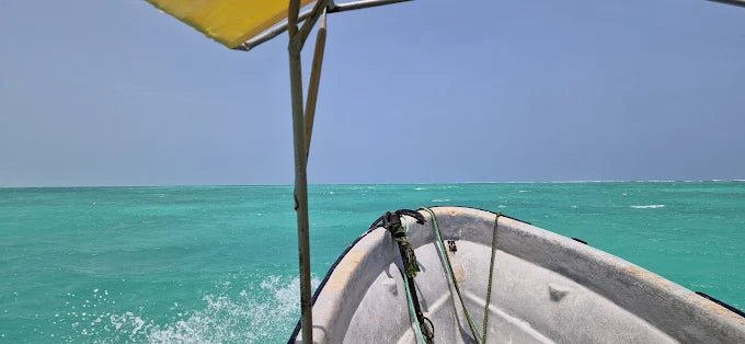 Zanzibar: Starfish Beach, Blue Lagoon Snorkeling, and The Rock Restaurant Tour