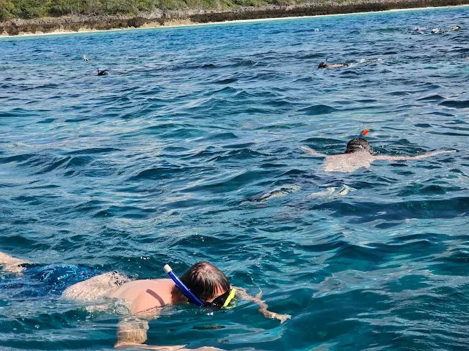 Zanzibar: Starfish Beach, Blue Lagoon Snorkeling, and The Rock Restaurant Tour