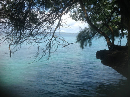 Zanzibar: Stone Town and Prison Island Guided Tour with Hotel Pickup