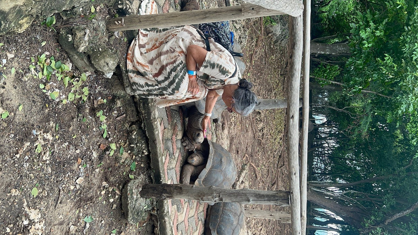 Zanzibar: Stone Town and Prison Island Guided Tour with Lunch