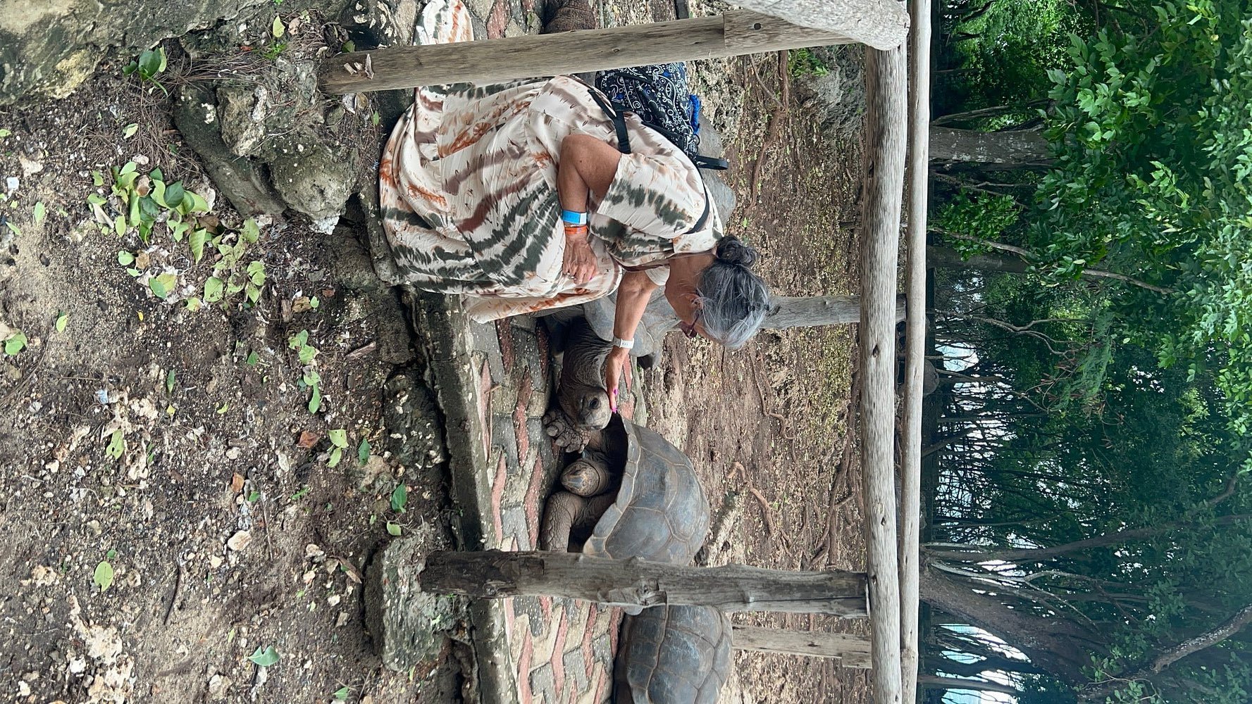 Zanzibar: Stone Town and Prison Island Guided Tour with Lunch