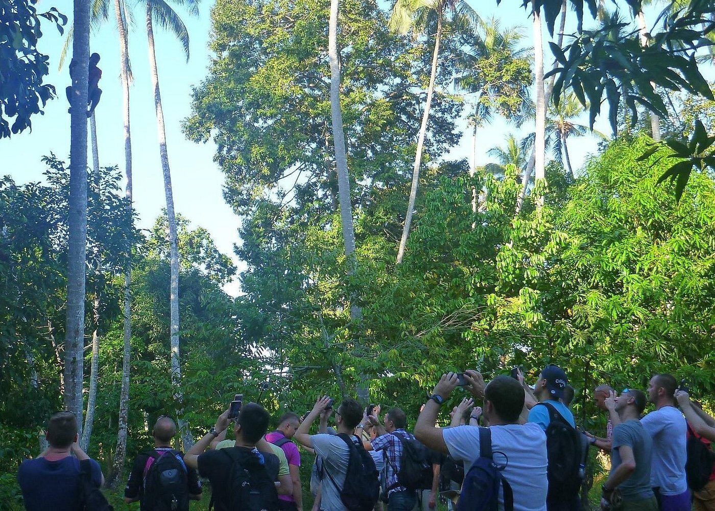 Zanzibar: Stone Town and Spice Farm Guided Walking Tour