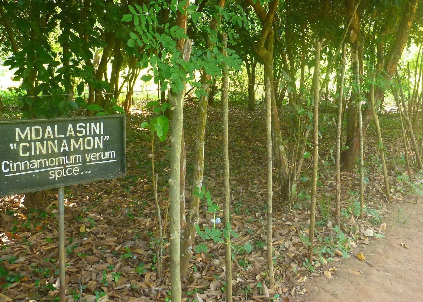 Zanzibar: Stone Town and Spice Farm Guided Walking Tour