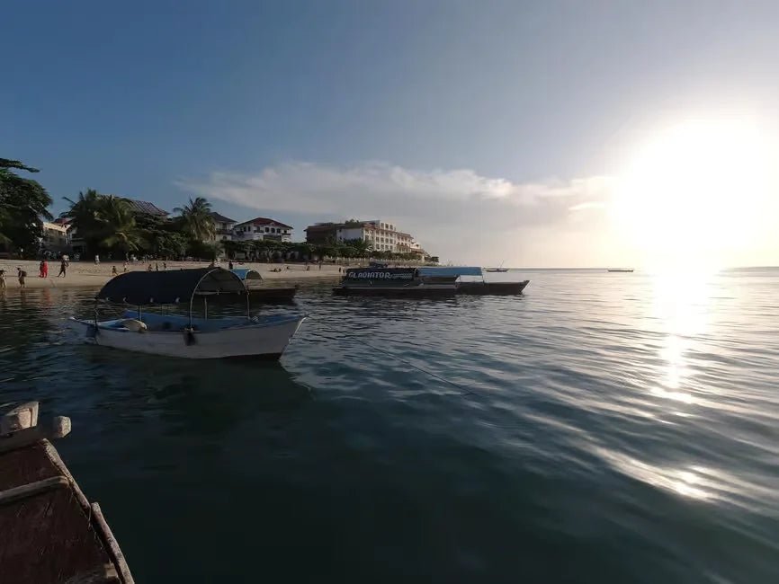 Zanzibar: Stone Town History and Jozani Forest Red Colobus Tour