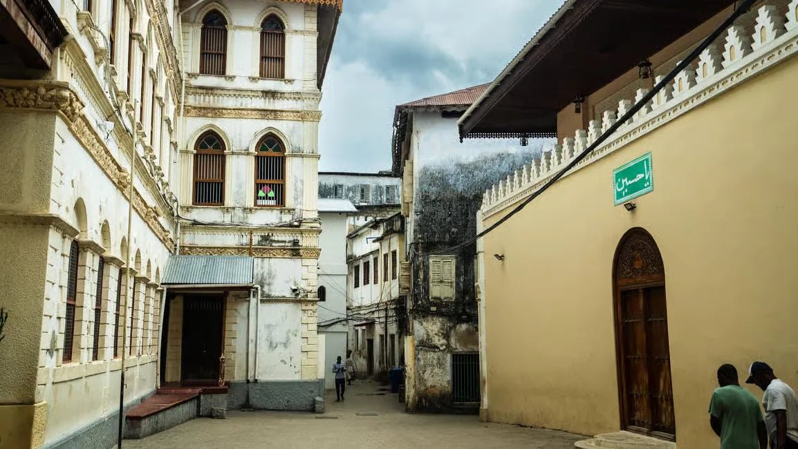 Zanzibar: Stone Town History and Jozani Forest Red Colobus Tour