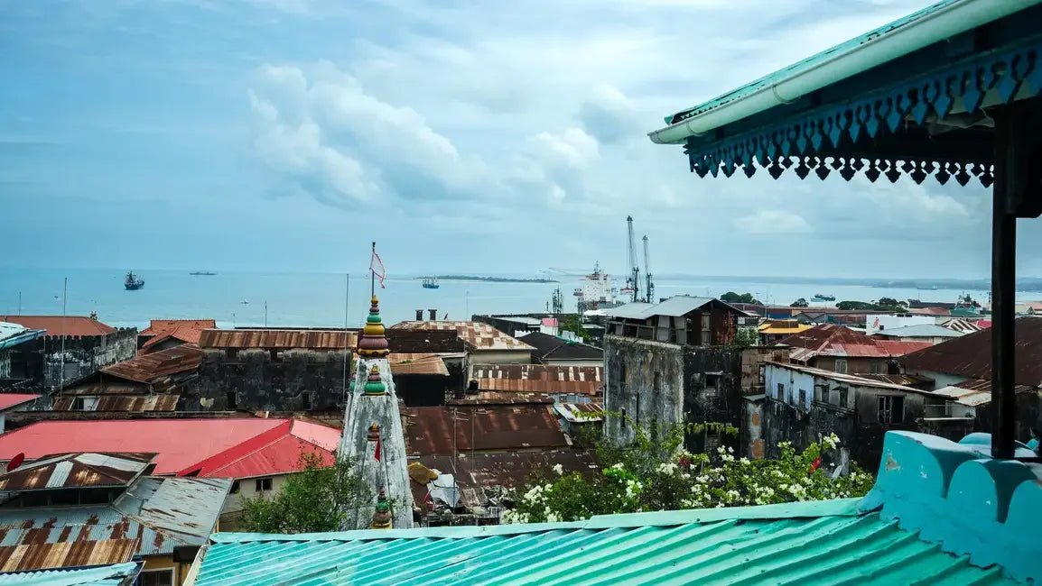 Zanzibar: Stone Town History and Jozani Forest Red Colobus Tour