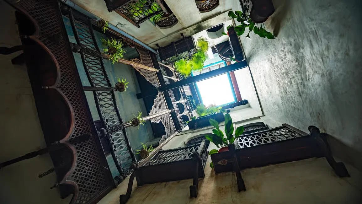 Zanzibar: Stone Town History and Jozani Forest Red Colobus Tour