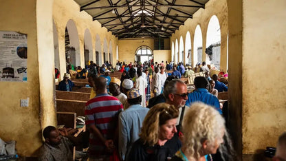 Zanzibar: Stone Town History and Jozani Forest Red Colobus Tour