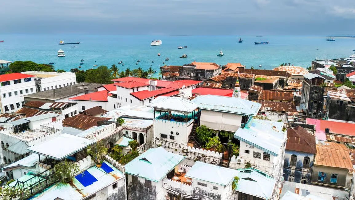 Zanzibar: Stone Town History and Jozani Forest Red Colobus Tour