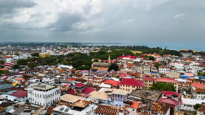 Zanzibar: Stone Town History and Jozani Forest Red Colobus Tour