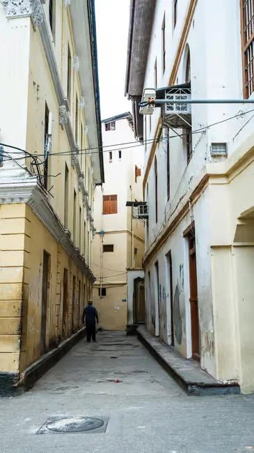 Zanzibar: Stone Town History and Jozani Forest Red Colobus Tour