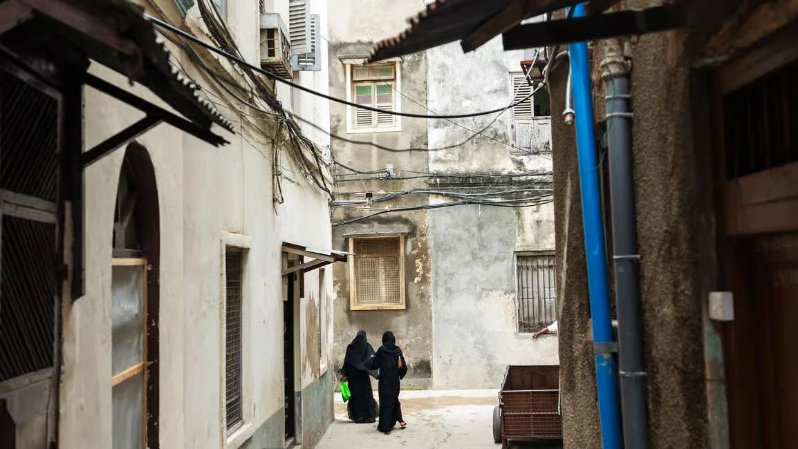 Zanzibar: Stone Town History and Jozani Forest Red Colobus Tour