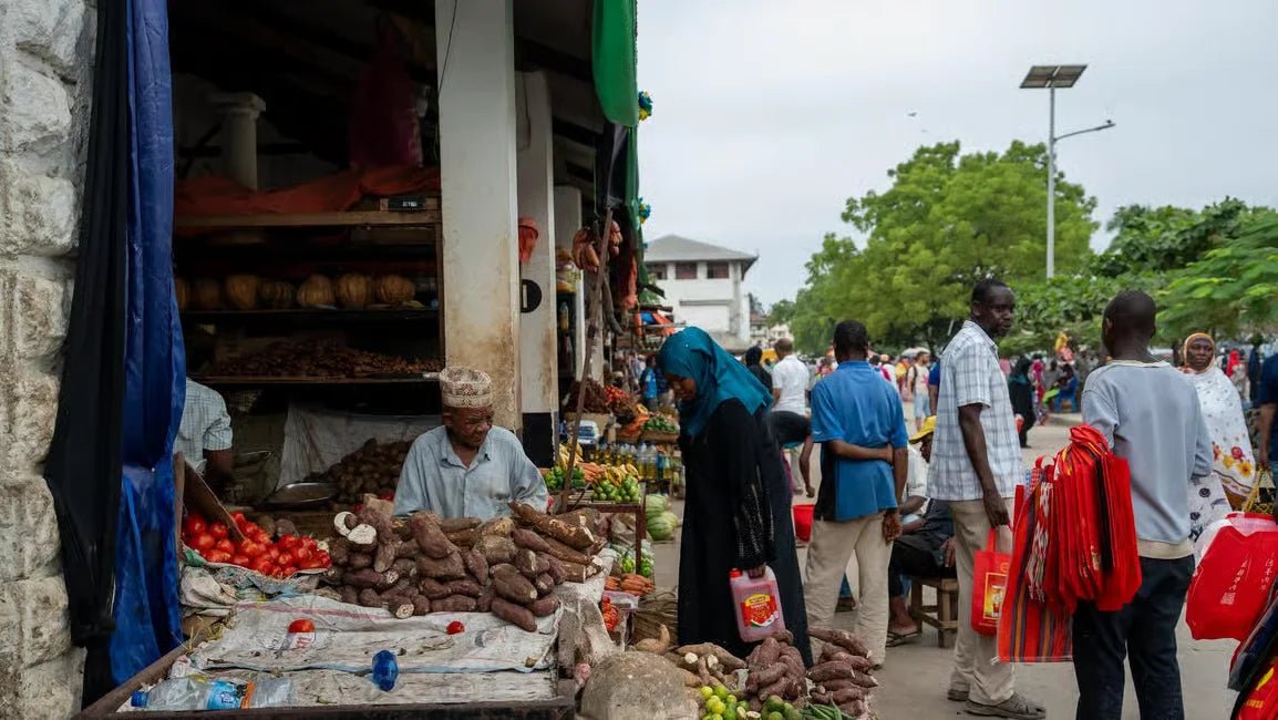 Zanzibar: Stone Town History and Jozani Forest Red Colobus Tour
