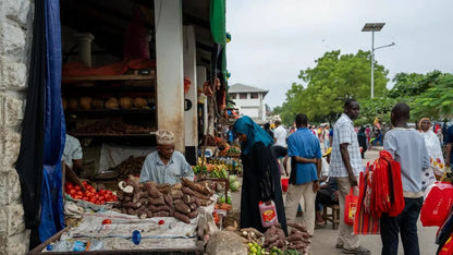 Zanzibar: Stone Town History and Jozani Forest Red Colobus Tour