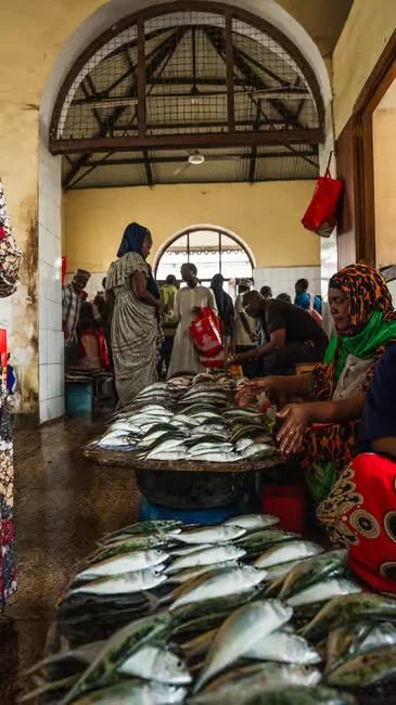Zanzibar: Stone Town History and Jozani Forest Red Colobus Tour