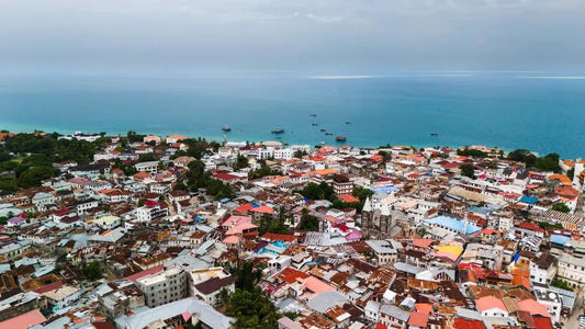 Zanzibar: Stone Town History and Jozani Forest Red Colobus Tour