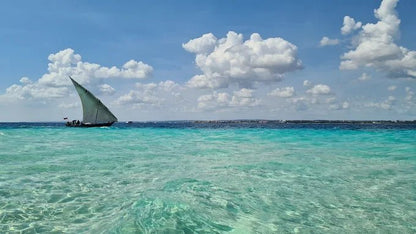 Zanzibar: Stone Town, Prison Island, and Nakupenda Sandbank Tour with Lunch
