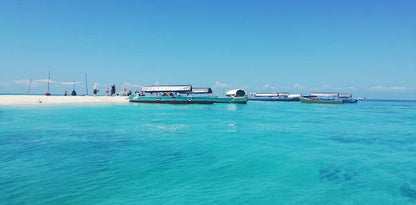 Zanzibar: Stone Town, Prison Island, and Nakupenda Sandbank Tour with Lunch