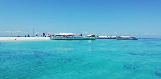 Zanzibar: Stone Town, Prison Island, and Nakupenda Sandbank Tour with Lunch