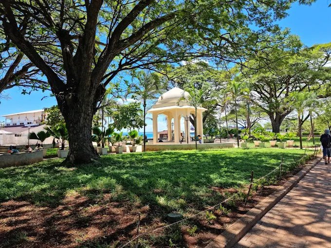 Zanzibar: Stone Town Private Walking Tour with Historical Landmarks