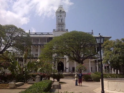 Zanzibar: Stone Town Private Walking Tour with Historical Landmarks
