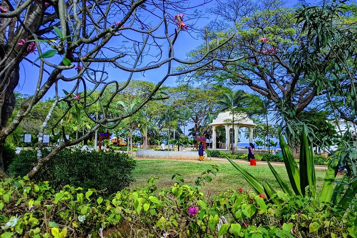 Zanzibar: Stone Town, Spice Farm and Prison Island Full - Day Private Tour