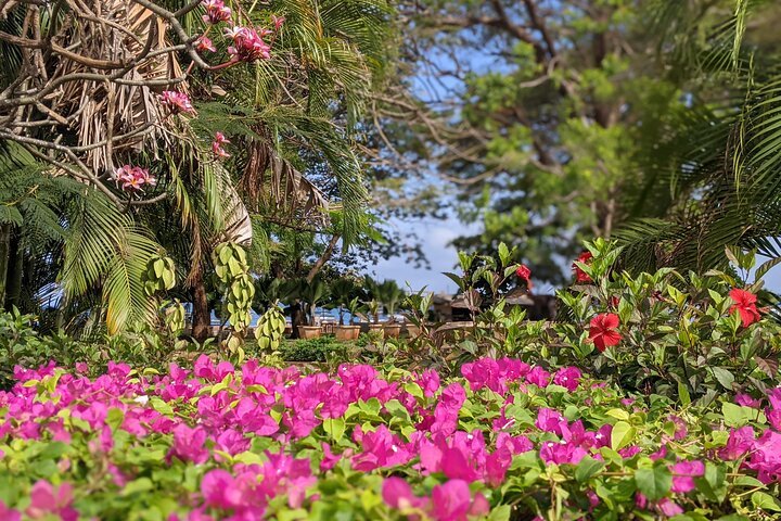 Zanzibar: Stone Town, Spice Farm and Prison Island Full - Day Private Tour
