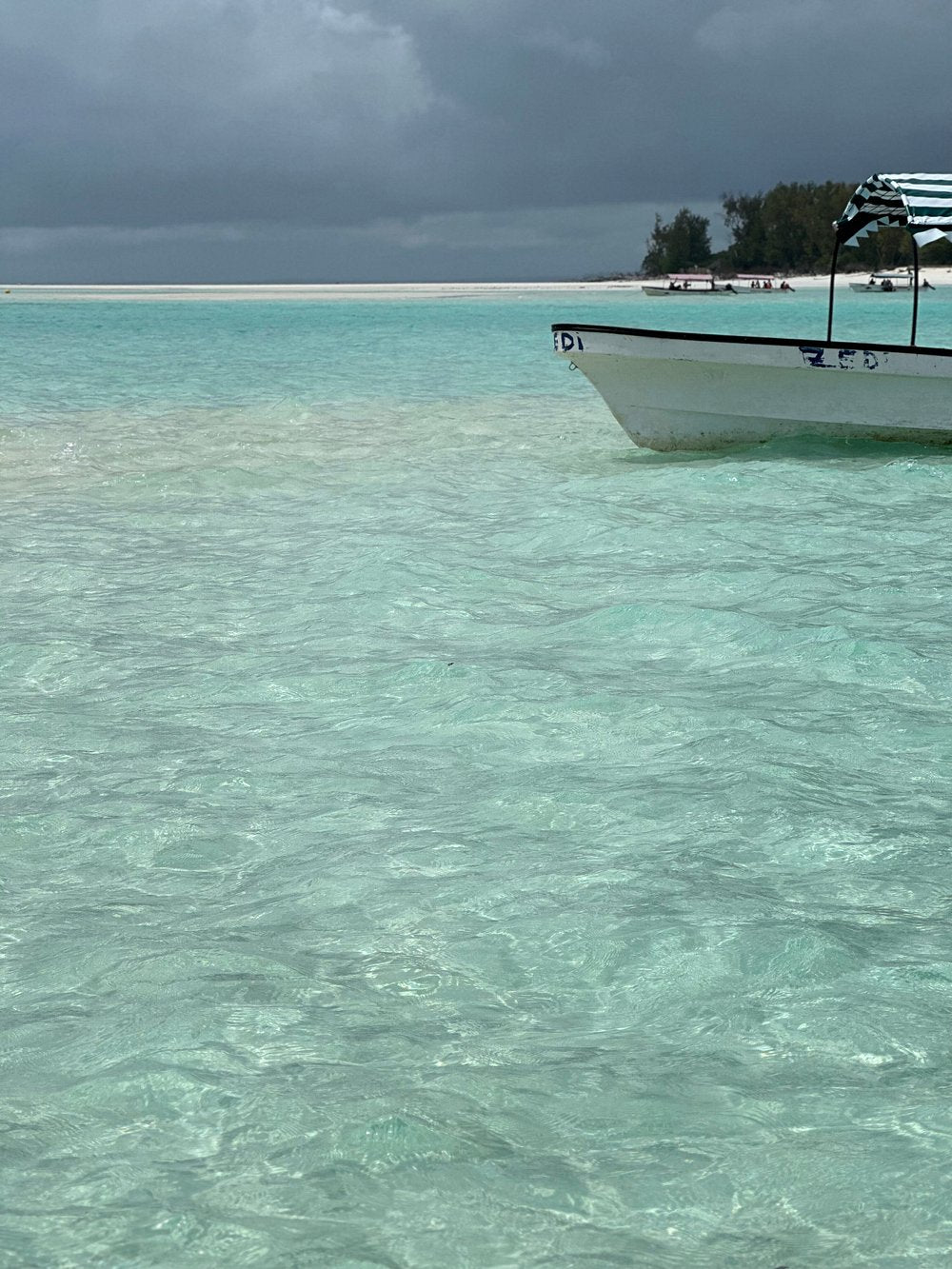 Zanzibar: Stone Town, Spice Farm and Prison Island Full - Day Private Tour