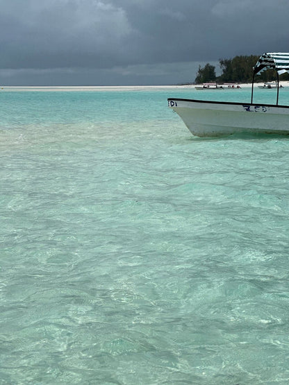 Zanzibar: Stone Town, Spice Farm and Prison Island Full - Day Private Tour