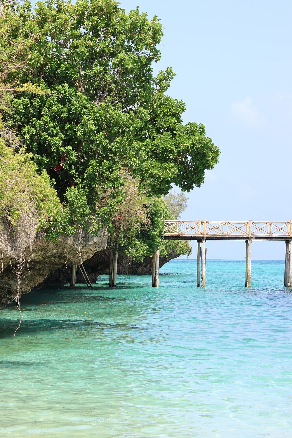 Zanzibar: Stone Town, Spice Farm and Prison Island Full - Day Private Tour