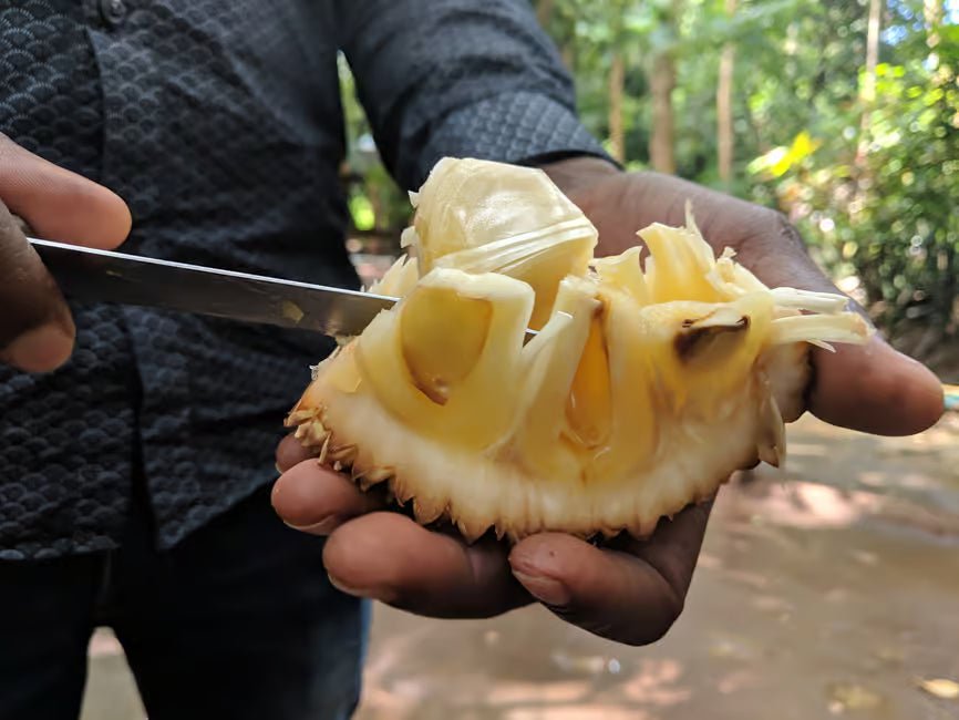Zanzibar: Stone Town Walking Tour and Spice Farm Experience with Lunch