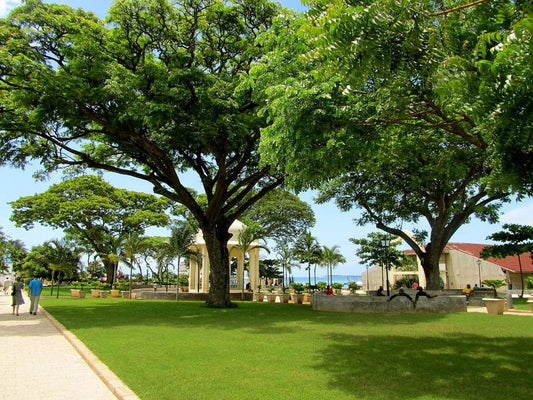 Zanzibar: Stone Town Walking Tour with Freddie Mercury Museum Visit