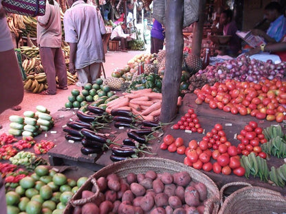 Zanzibar: Stone Town Walking Tour with Freddie Mercury Museum Visit