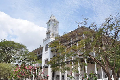 Zanzibar: Stone Town Walking Tour with Guide and Hotel Pickup