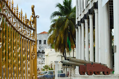 Zanzibar: Stone Town Walking Tour with Guide and Hotel Pickup