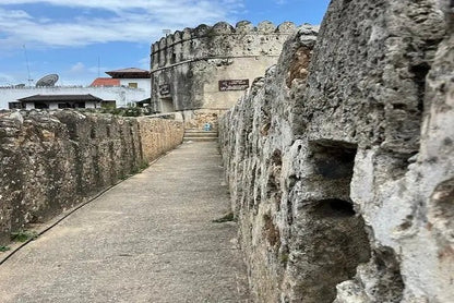 Zanzibar: Stone Town Walking Tour with Local Guide