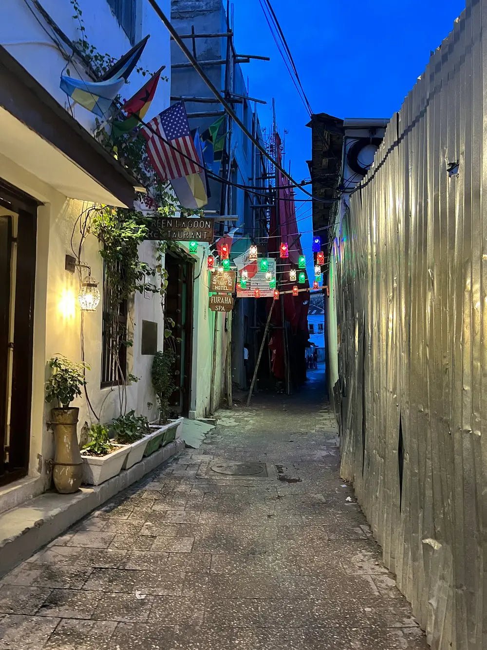 Zanzibar: Stone Town Walking Tour with Local Guide