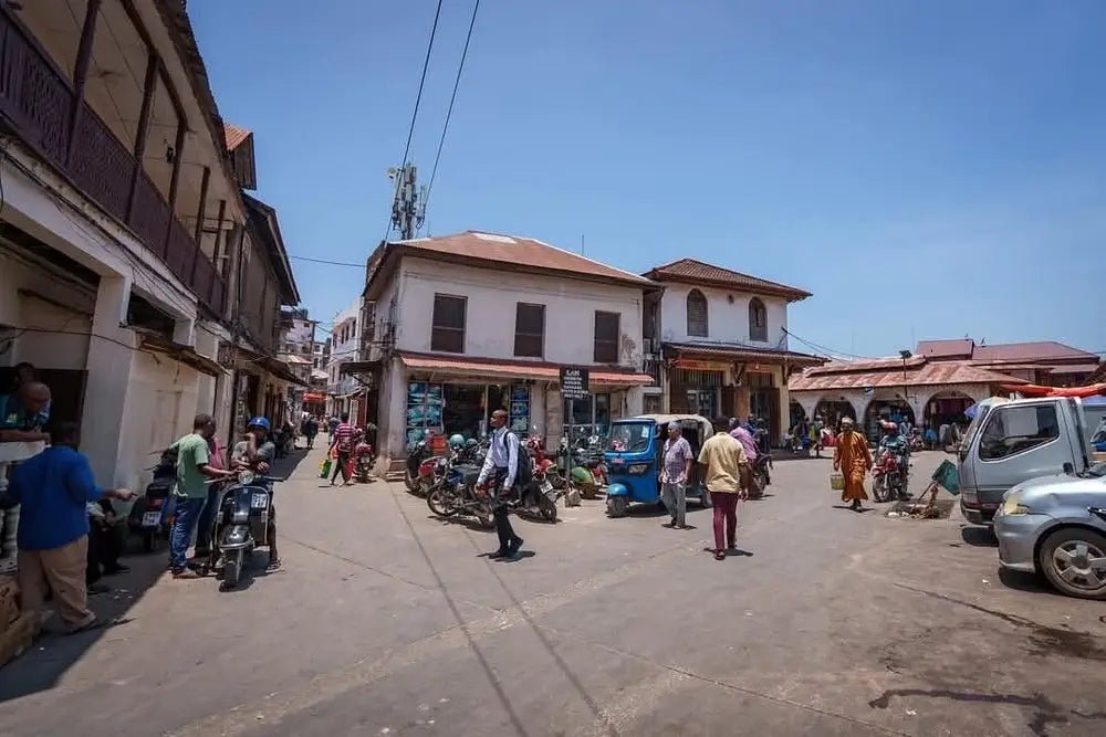 Zanzibar: Stone Town Walking Tour with Local Guide