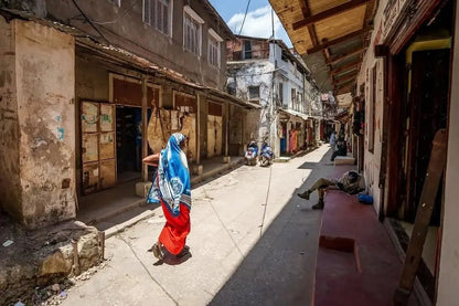 Zanzibar: Stone Town Walking Tour with Local Guide
