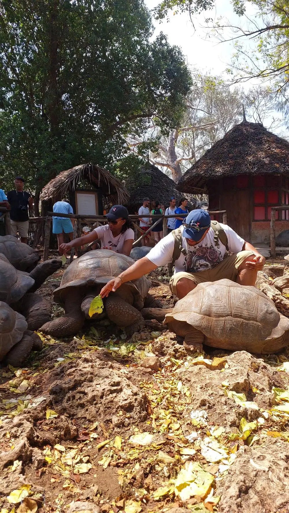 Zanzibar: Stone Town Walking Tour with Local Guide