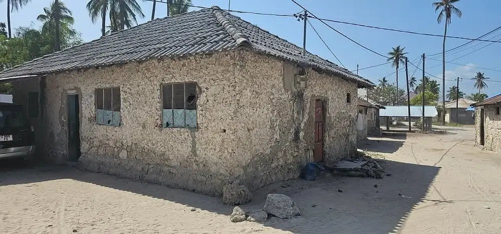 Zanzibar: Stone Town Walking Tour with Local Guide