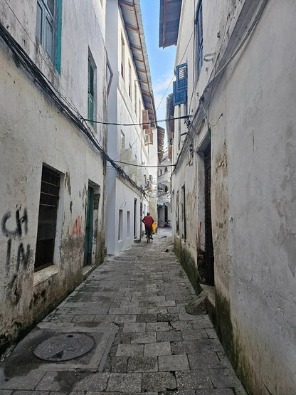 Zanzibar: Stone Town Walking Tour with Local Guide