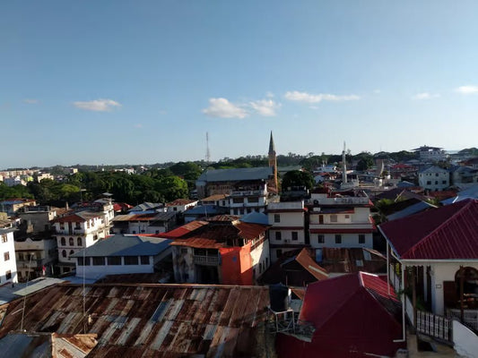 Zanzibar: Stone Town Walking Tour with Lunch