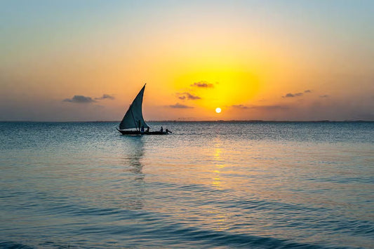 Zanzibar: Sunset Sailing Tour with Mangrove Views and Snacks
