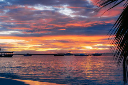 Zanzibar: Sunset Sailing Tour with Mangrove Views and Snacks